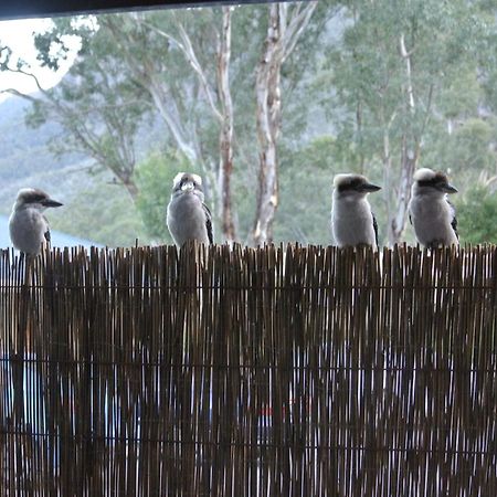 Kookaburra Motor Lodge Halls Gap Exteriör bild